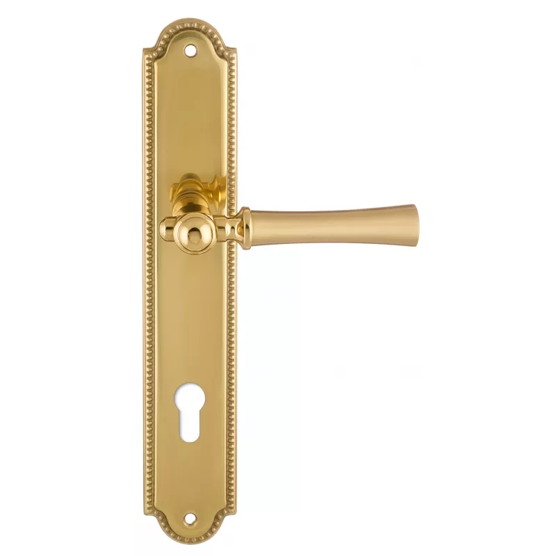 Дверная ручка на планке Extreza "DEZI" 309 PL03-CYL-85-F07-F01 матовая латунь глянец / латунь / планка латунь