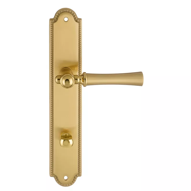 Дверная ручка на планке Extreza "DEZI" 309 PL03-WC-96-F07-F01-F07 матовая латунь глянец / латунь / планка матовая латунь глянец