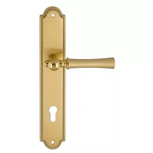 Дверная ручка на планке Extreza 