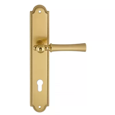 Дверная ручка на планке Extreza "DEZI" 309 PL03-CYL-85-F07-F01-F07 матовая латунь глянец / латунь / планка матовая латунь глянец