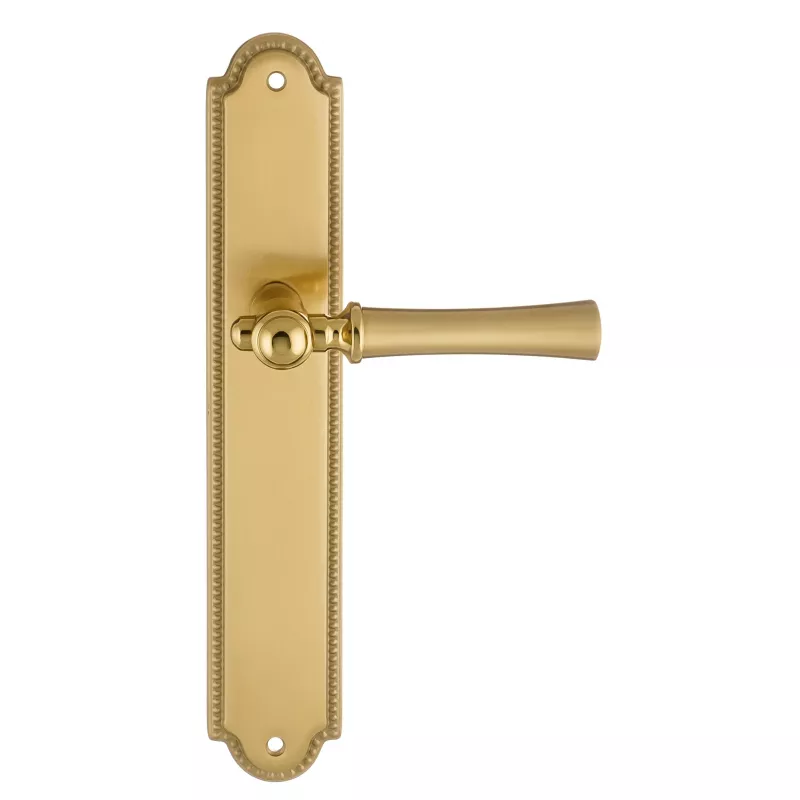 Дверная ручка на планке Extreza "DEZI" 309 PL03-F07-F01-F07 матовая латунь глянец / латунь / планка матовая латунь глянец