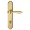 Ручка дверная Extreza "DANIEL" 308 на планке PL03-WC-96 матовая латунь глянец F07