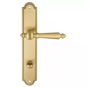 Ручка дверная Extreza 