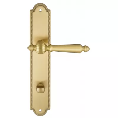 Ручка дверная Extreza "DANIEL" 308 на планке PL03-WC-96 матовая латунь глянец F07