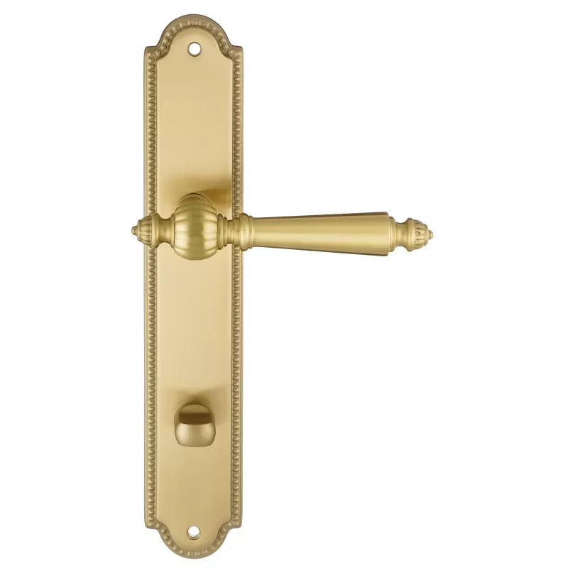 Ручка дверная Extreza "DANIEL" 308 на планке PL03-WC-96 матовая латунь глянец F07