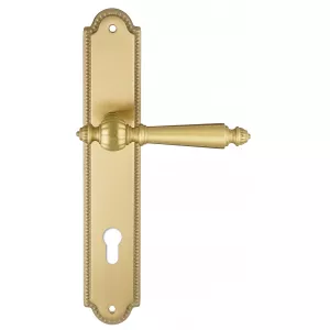 Ручка дверная Extreza 