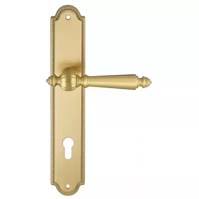 Ручка дверная Extreza "DANIEL" 308 на планке PL03-CYL-85 матовая латунь глянец F07