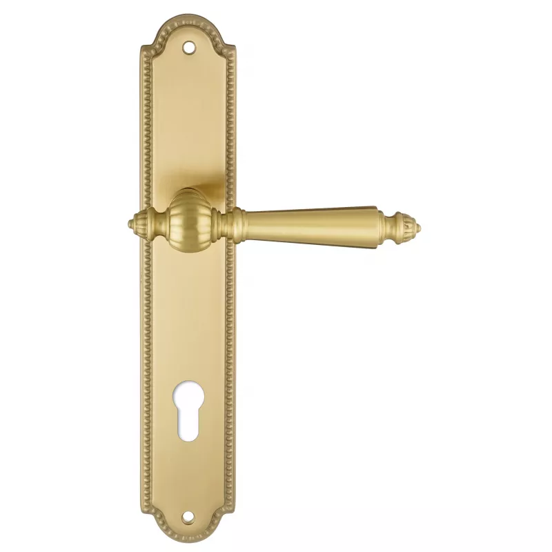 Ручка дверная Extreza "DANIEL" 308 на планке PL03-CYL-85 матовая латунь глянец F07