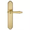 Ручка дверная Extreza "DANIEL" 308 на планке PL03 матовая латунь глянец F07