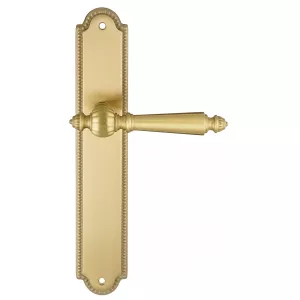 Ручка дверная Extreza 