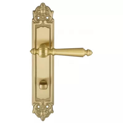 Дверная ручка на планке Extreza DANIEL-PL02-WC-96-F07 (DANIEL 308) матовая латунь глянец
