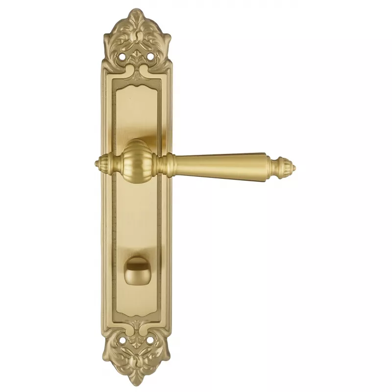 Дверная ручка на планке Extreza DANIEL-PL02-WC-96-F07 (DANIEL 308) матовая латунь глянец