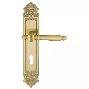 Дверная ручка на планке Extreza DANIEL-PL02-CYL-85-F07 (DANIEL 308) матовая латунь глянец