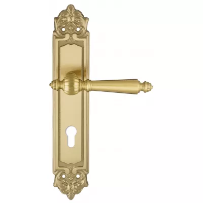 Дверная ручка на планке Extreza DANIEL-PL02-CYL-85-F07 (DANIEL 308) матовая латунь глянец