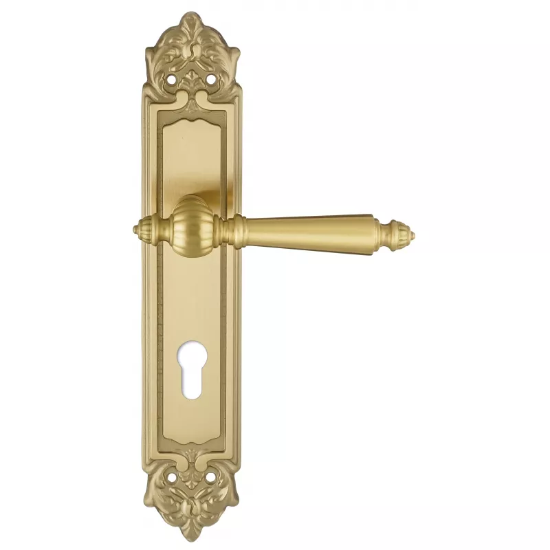 Дверная ручка на планке Extreza DANIEL-PL02-CYL-85-F07 (DANIEL 308) матовая латунь глянец