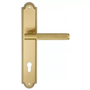 Дверная ручка на планке Extreza 