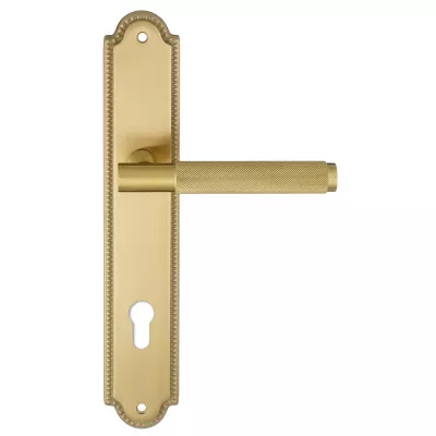 Дверная ручка на планке Extreza "TUBA" 126 PL03-CYL-85 матовая латунь глянец F07