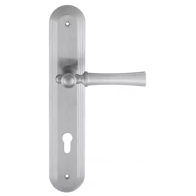 Дверная ручка на планке Extreza "DEZI" 309 PL05-CYL-85-F05 матовый хром