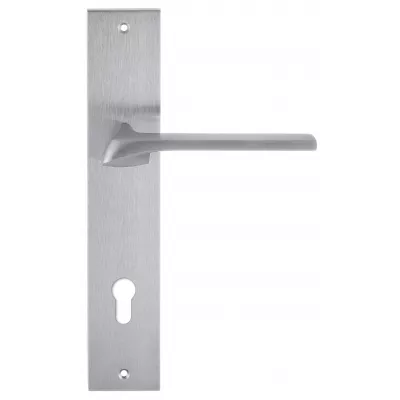 Дверная ручка на планке Extreza ERICA-PL11-CYL-85-F05 (ERICA 119) матовый хром