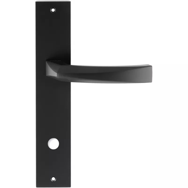 Дверная ручка Extreza Hi-Tech "ELIO" (Элио) 109 на планке PL11 черный F22 сантехническая завертка WC