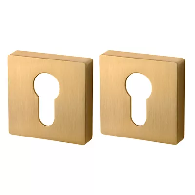 Накладка Armadillo (Армадилло) под цилиндр ET.K.USQ52 (ET USQ) FSG флорентийское золото